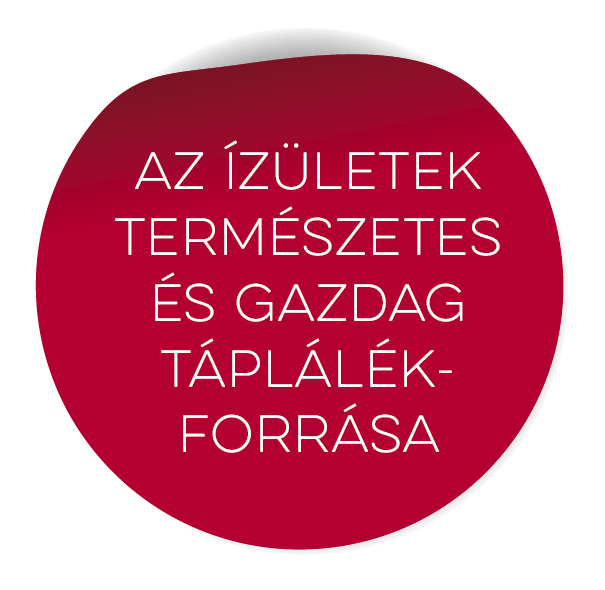 Az ízületek természetes és gazdag táplálék forrása