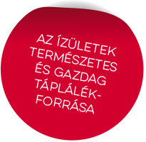 Az ízületek természetes és gazdag táplálékforrása